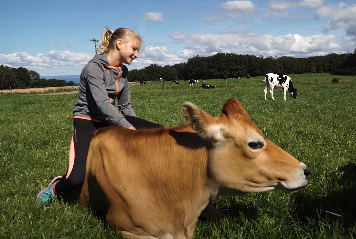 Wilma Denna video är textad.