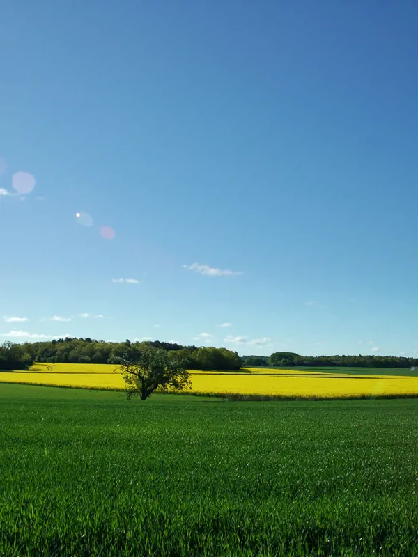 Odlingslandskap