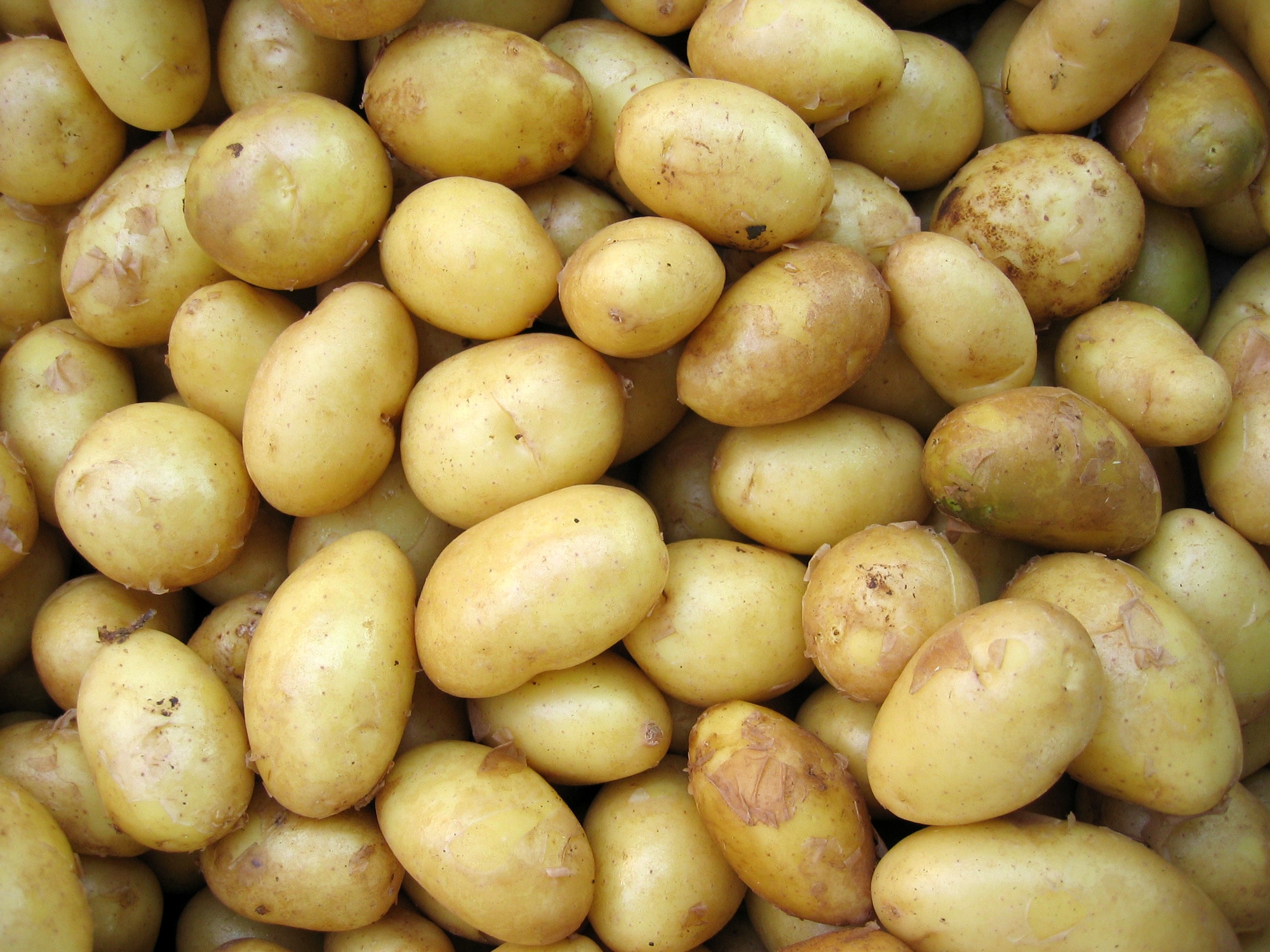 Potatisar