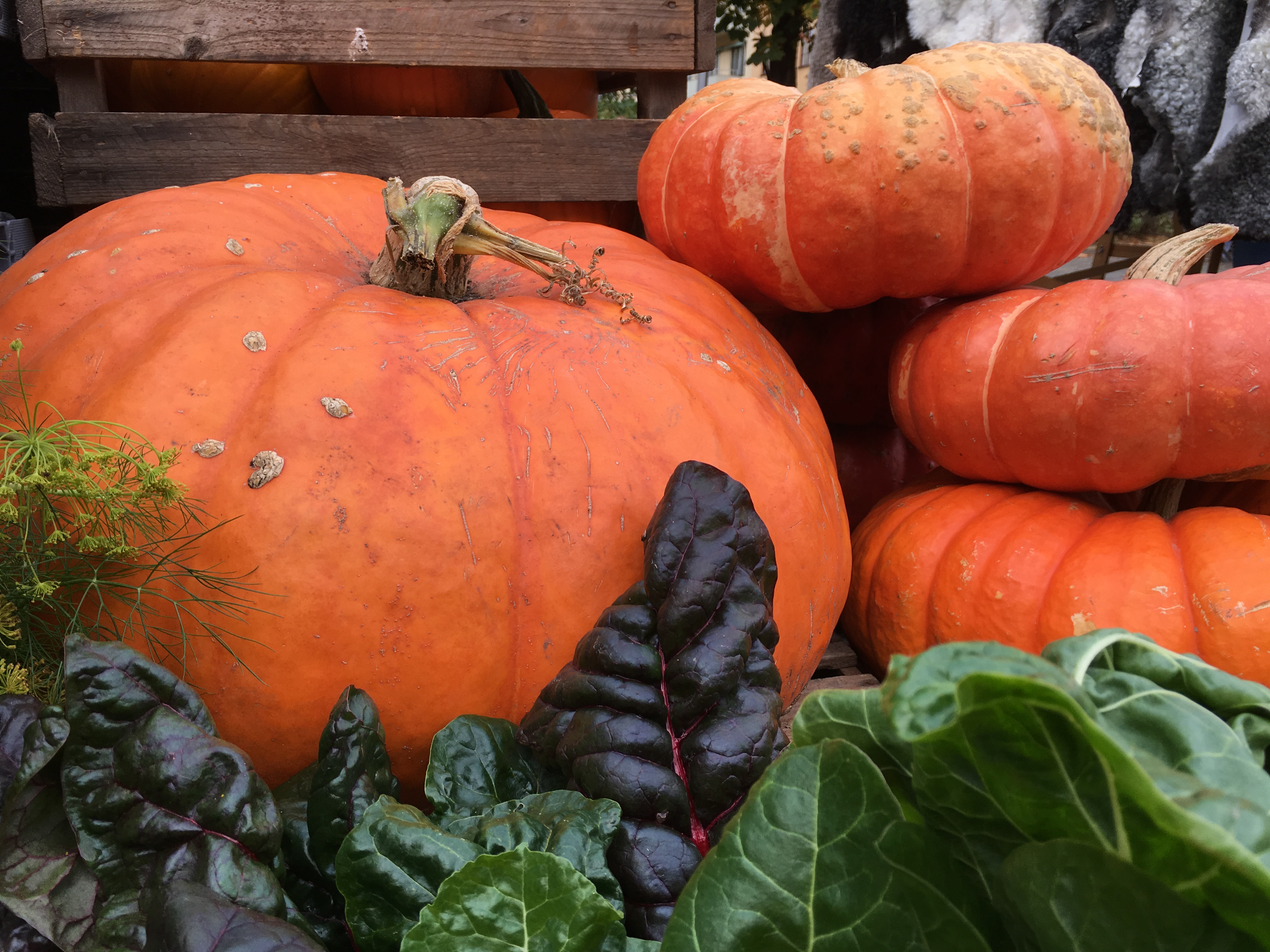 Pumpor