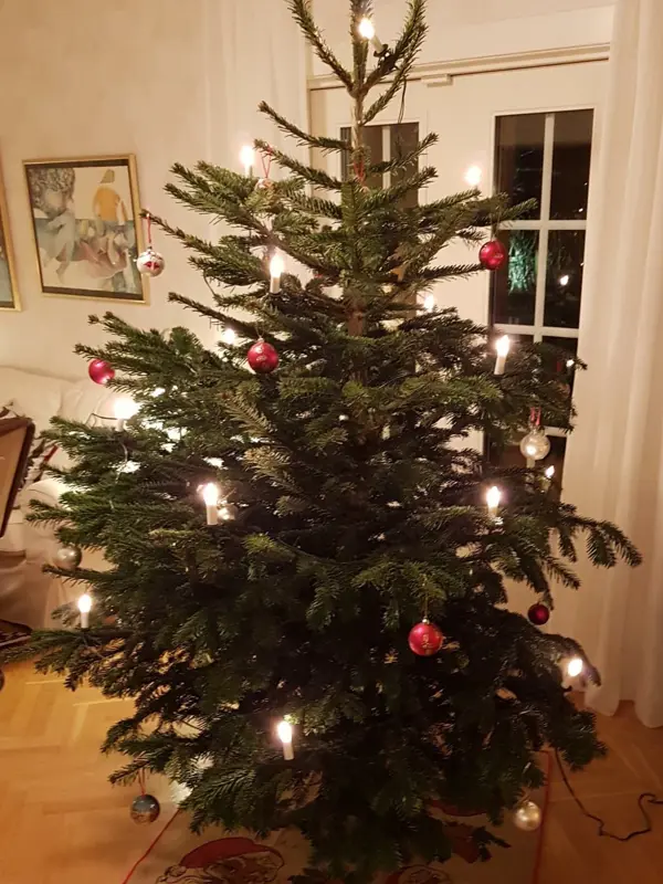 Julgran
