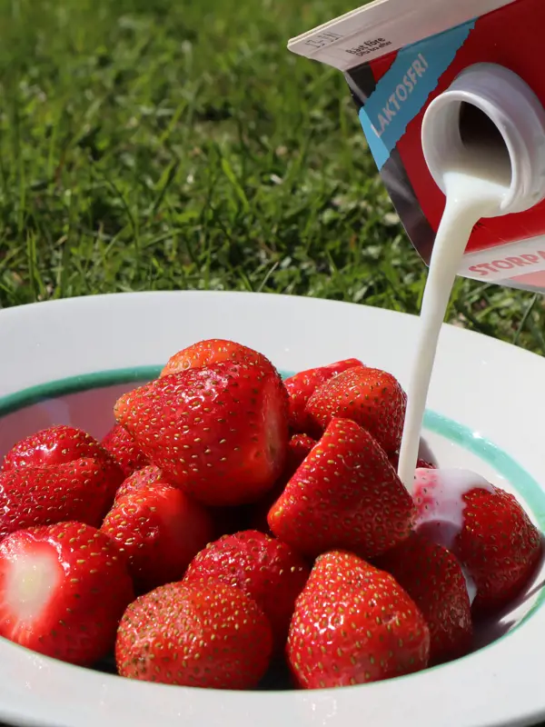 Norrbotten Jordgubbar Mjolk Jennygotthold