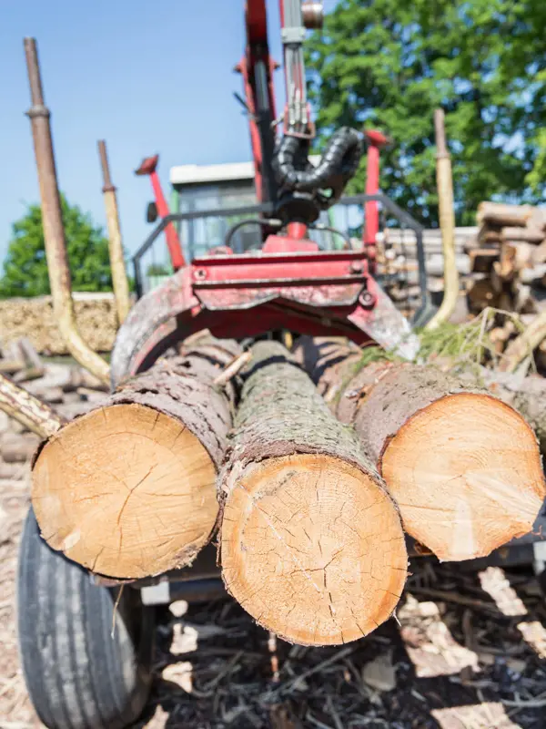 BA Êlingeskog 7596 Jpg