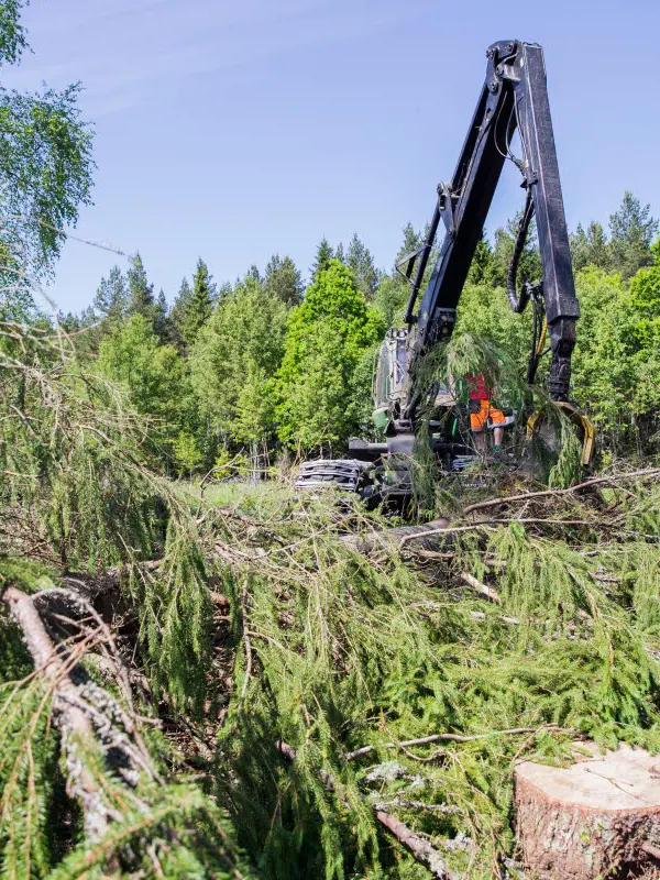 BA Êlingeskog 7825 Jpg