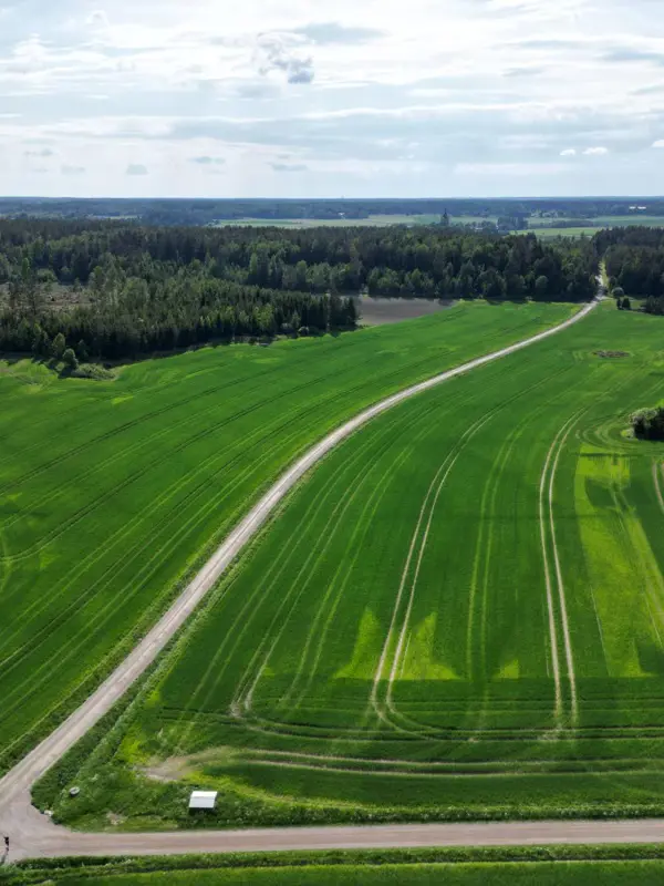 Odlingslandskap
