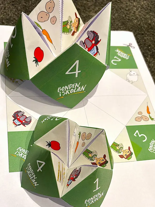 Loppa 3. Klicka för att se visa hela bilden.