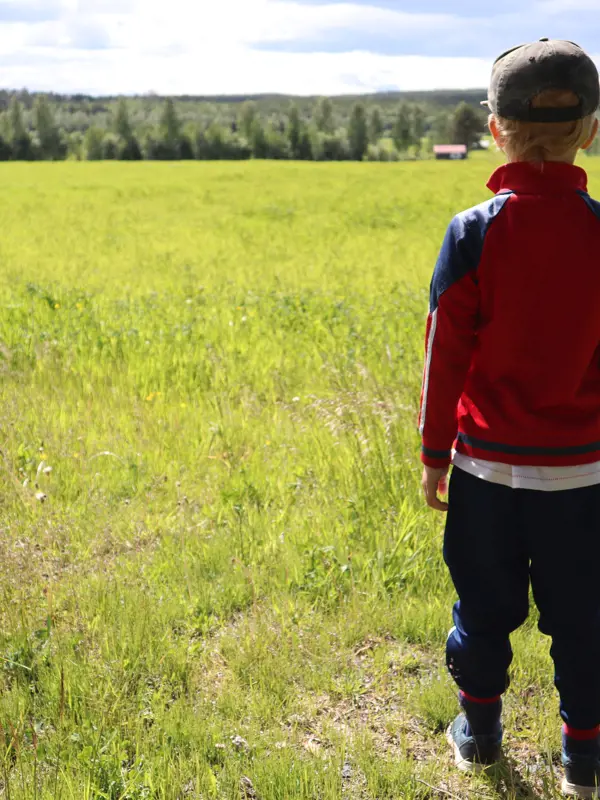 Norrbotten Ang Jennygotthold. Klicka för att se visa hela bilden.