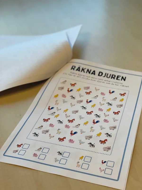 J13. Klicka för att se visa hela bilden.