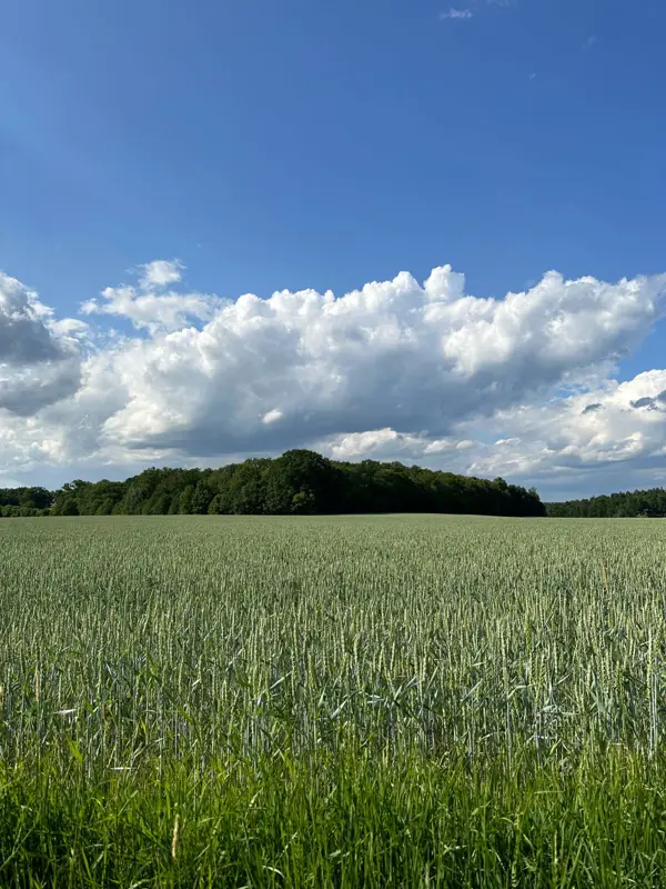 Odlingslandskap I Sörmland