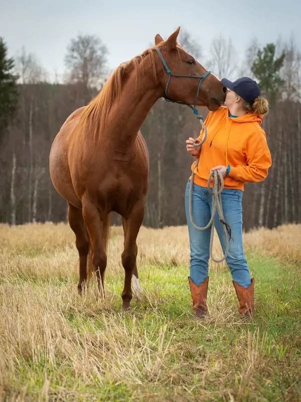 Hippolog